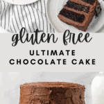 The Best Gluten Free Ultimate Chocolate Cake