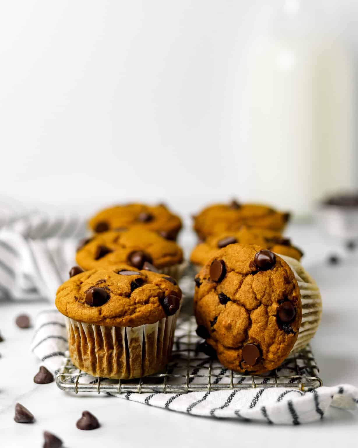 Healthy Gluten Free Pumpkin Chocolate Chip Muffins Glutenless Apron